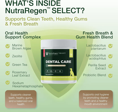 Select Senior Dog Digestive Probiotic Powder and Dental Support Bundle | Pet Dental Powder & Dog Breath Freshener, 7 Bn CFU | 60 Servings, 6.7 oz