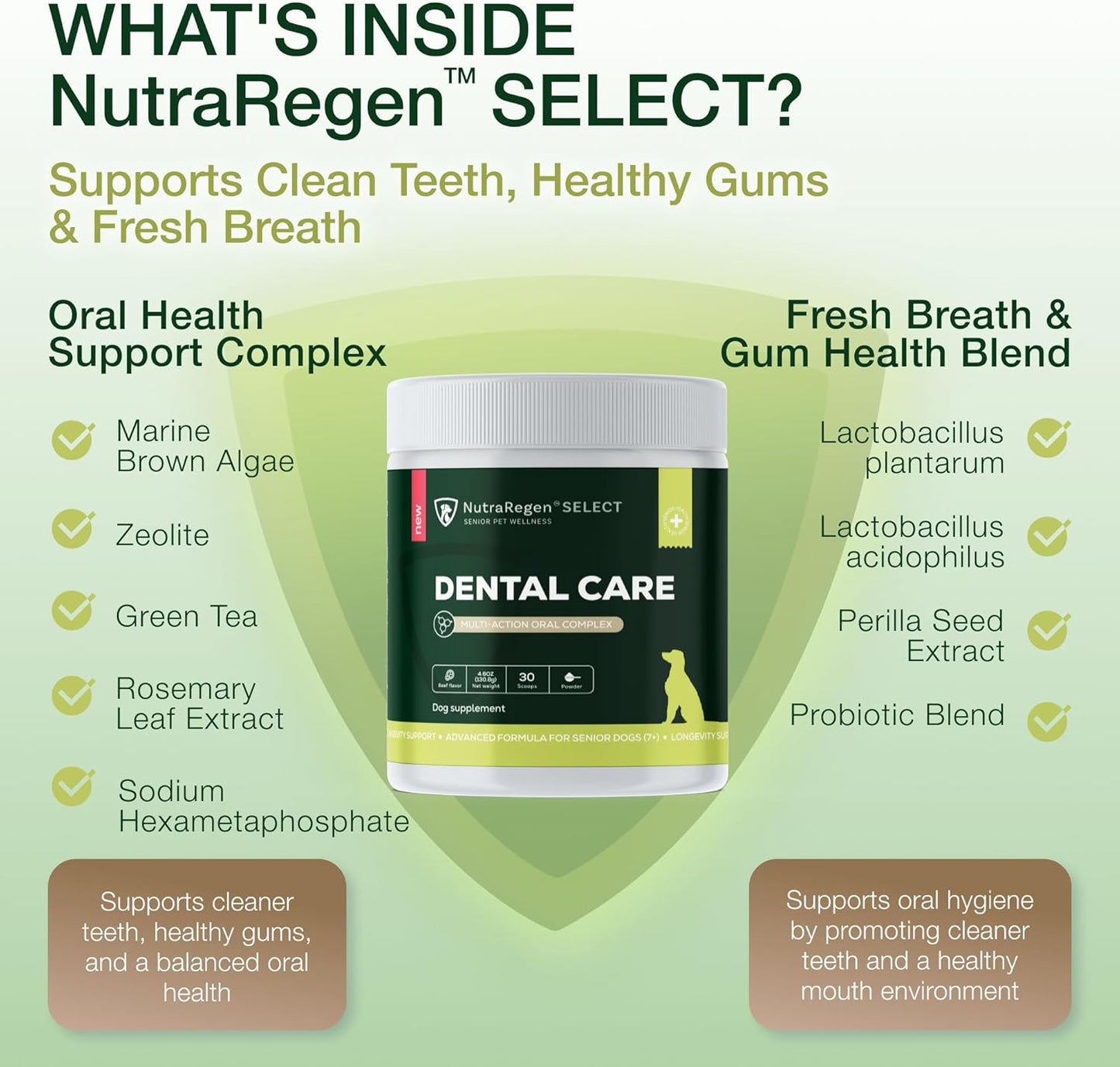 Select Senior Dog Digestive Probiotic Powder and Dental Support Bundle | Pet Dental Powder & Dog Breath Freshener, 7 Bn CFU | 60 Servings, 6.7 oz