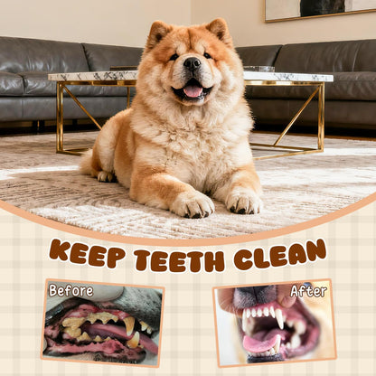 Interactive Dog Toys,No Stuffing Squeak Dog Toy for Large Dogs.Plush Dog Toy for Puppy, Small, Medium, Large Dog,Not for Aggressive Chewers(Rope Crocodile&Honey Badger)