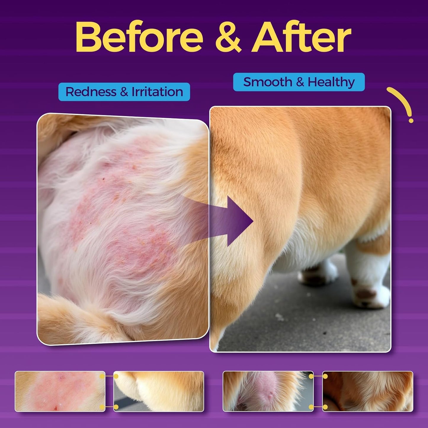 Yeast Infection Treatment for Dogs and Wild Alaska Salmon Oil for Dogs & Cats Fish Oil Omega 3 Supplements with EPA & DHA