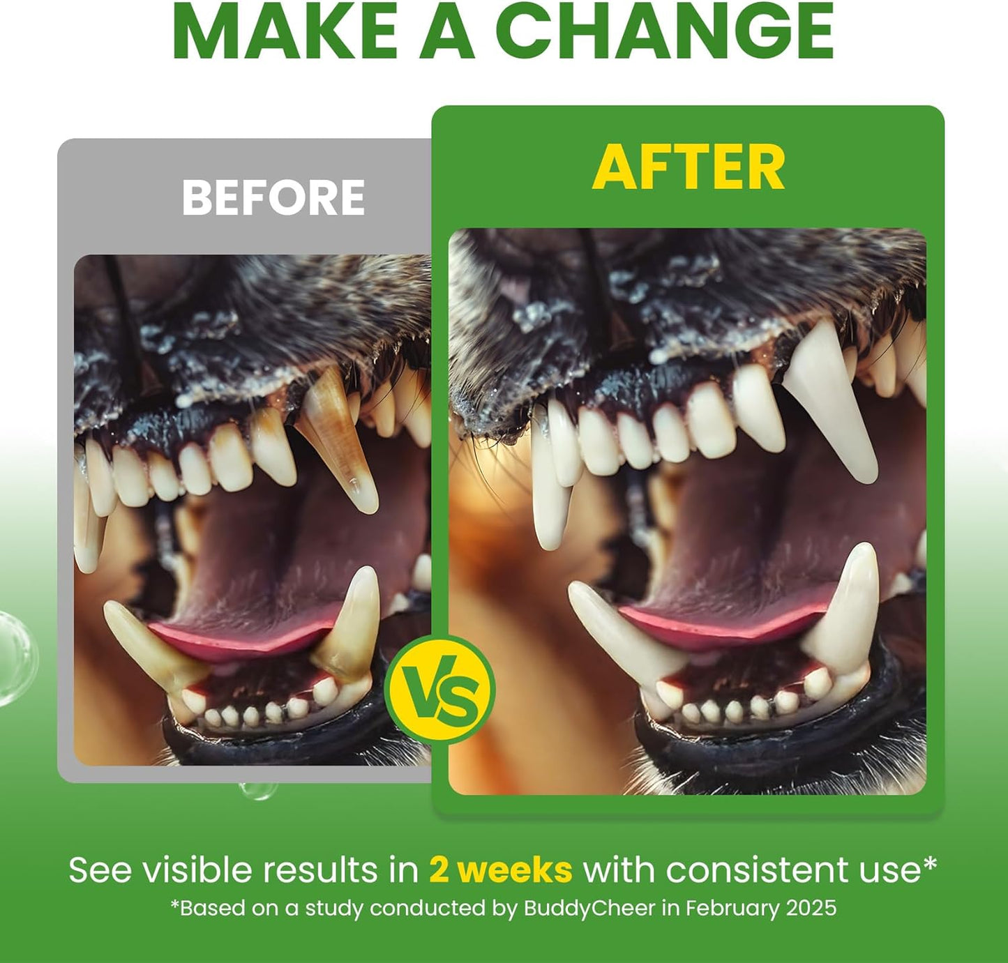 Digestive & Skin Support Chews + Dental Care Powder - Probiotics with Enzymes for Gut Comfort & Itch Ease, Tartar Control & Fresh Breath for Dogs & Cats - 180 Chews + 150g Powder