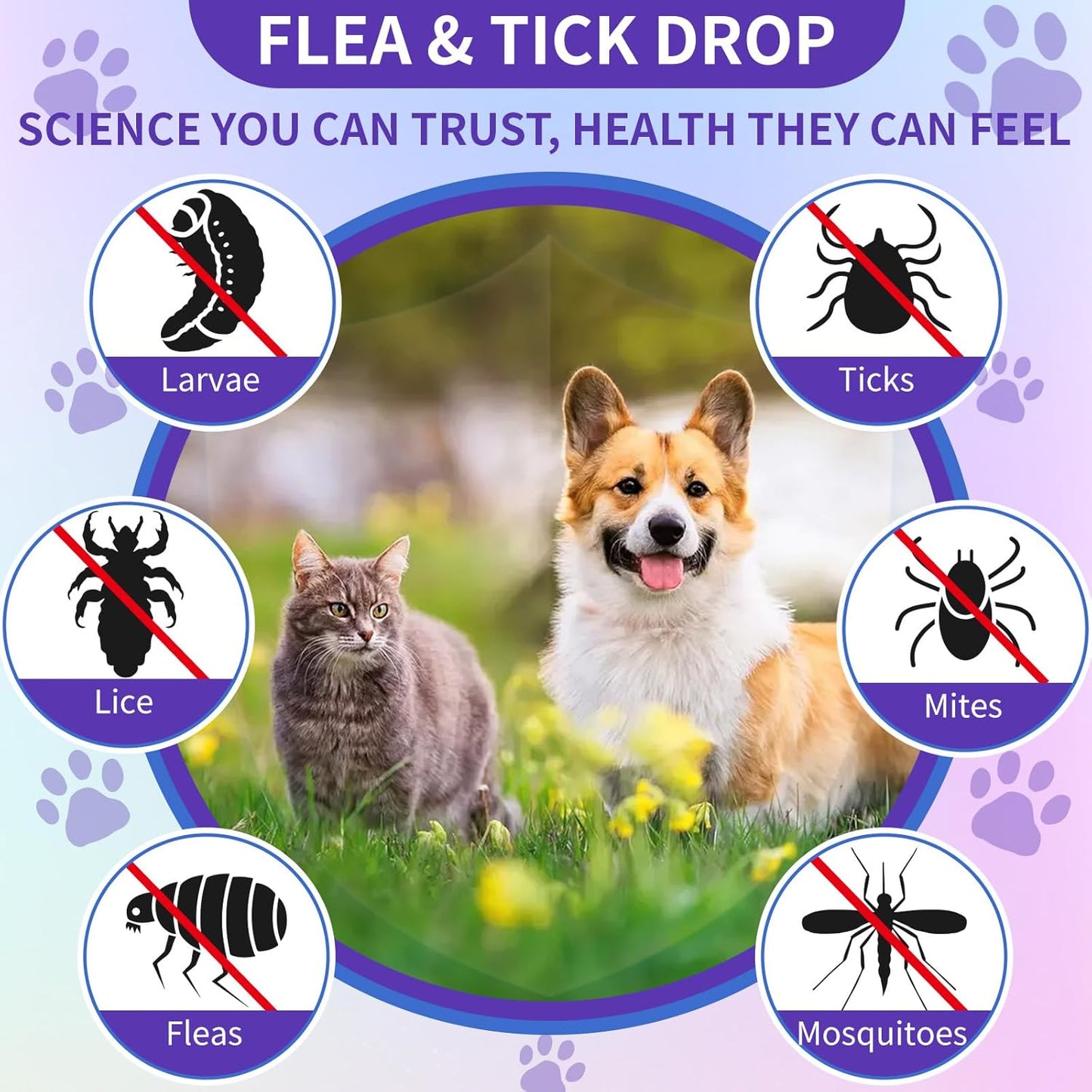 Flea and Tick Support for Dogs and Cats Natural Flea Treatment Drops with Multivitamin for Pets Oral Flea & Tick Prevention for Dogs and Cats Flea Herbal Drops for All Breeds and Ages