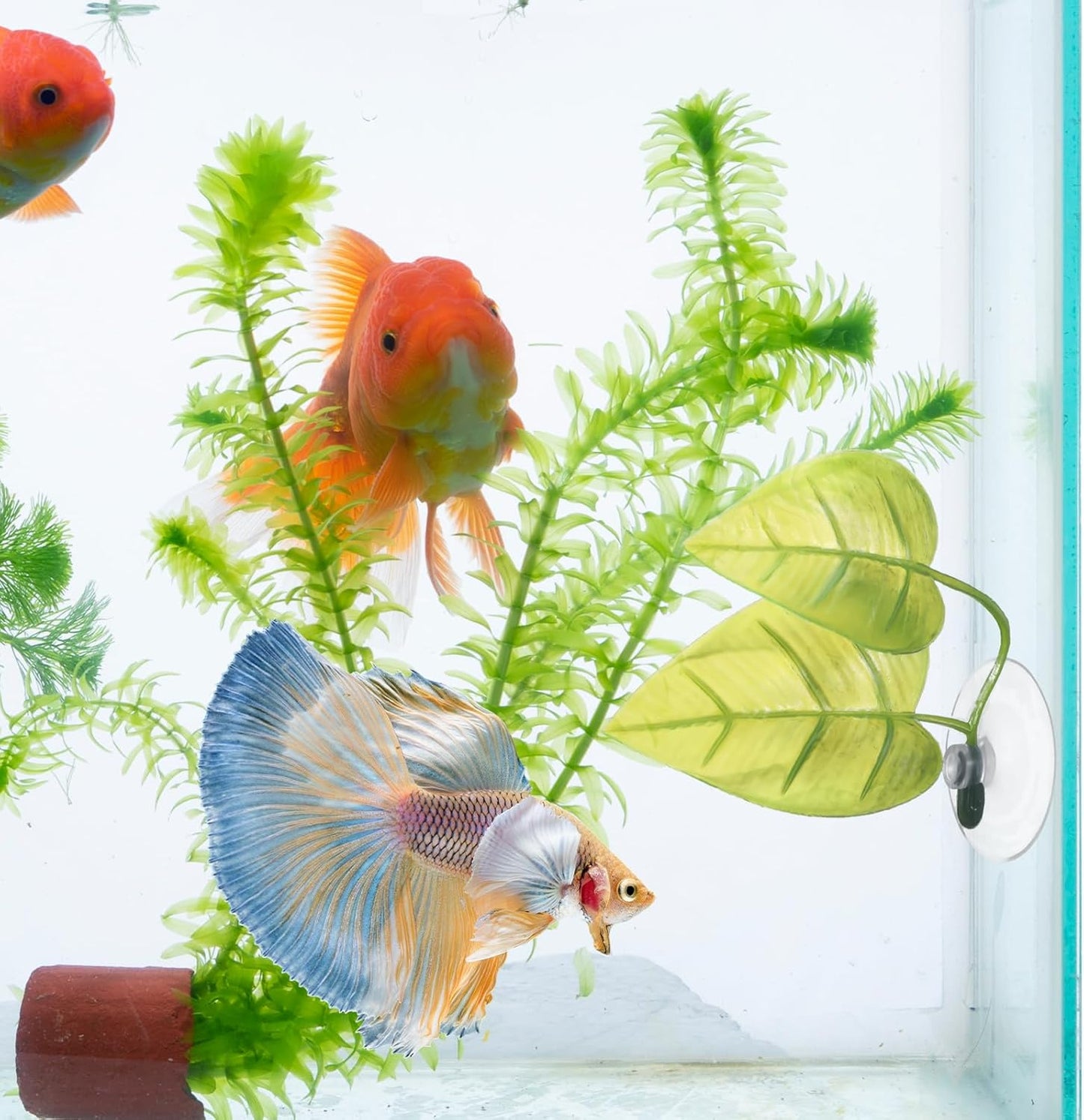 4 Pack Betta Fish Leaf Hammock, Soft Silicone Aquarium Decor, Simulates The Natural Habitat of Betta Fish for Betta Resting Breeding Hiding Playing, Fish Tank Ornaments