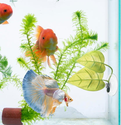 4 Pack Betta Fish Leaf Hammock, Soft Silicone Aquarium Decor, Simulates The Natural Habitat of Betta Fish for Betta Resting Breeding Hiding Playing, Fish Tank Ornaments