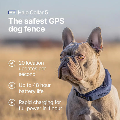 Halo Collar 5, New Wireless Dog Fence & GPS Dog Collar, Subscription Required, Waterproof, Graphite, One Size