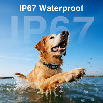 Bark Collar, 2 Pack Dog Bark Collar for Large Medium Small Dogs, Rechargeable Anti Barking Device for Dogs, Smart Training Collar with Beep Vibration 5 Sensitivity, Dog Bark Deterrent Devices