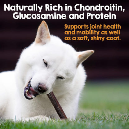 Riley's 12 Inch Beef Collagen Sticks for Dogs, Collagen Chews for Dogs, Bully Stick & Rawhide Alternative, Long Lasting, No Raw Hide Chews, Single Ingredient Dog Treat - 5 ct