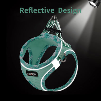 AMTOR Small Dog Harness with Leash Set, No Escape Easy Walk Puppy Harnesses for Training Walking, Step-in Reflective Soft Dogs Vest for XS S Medium Extra-Small Large Sized Dog(Green,S)