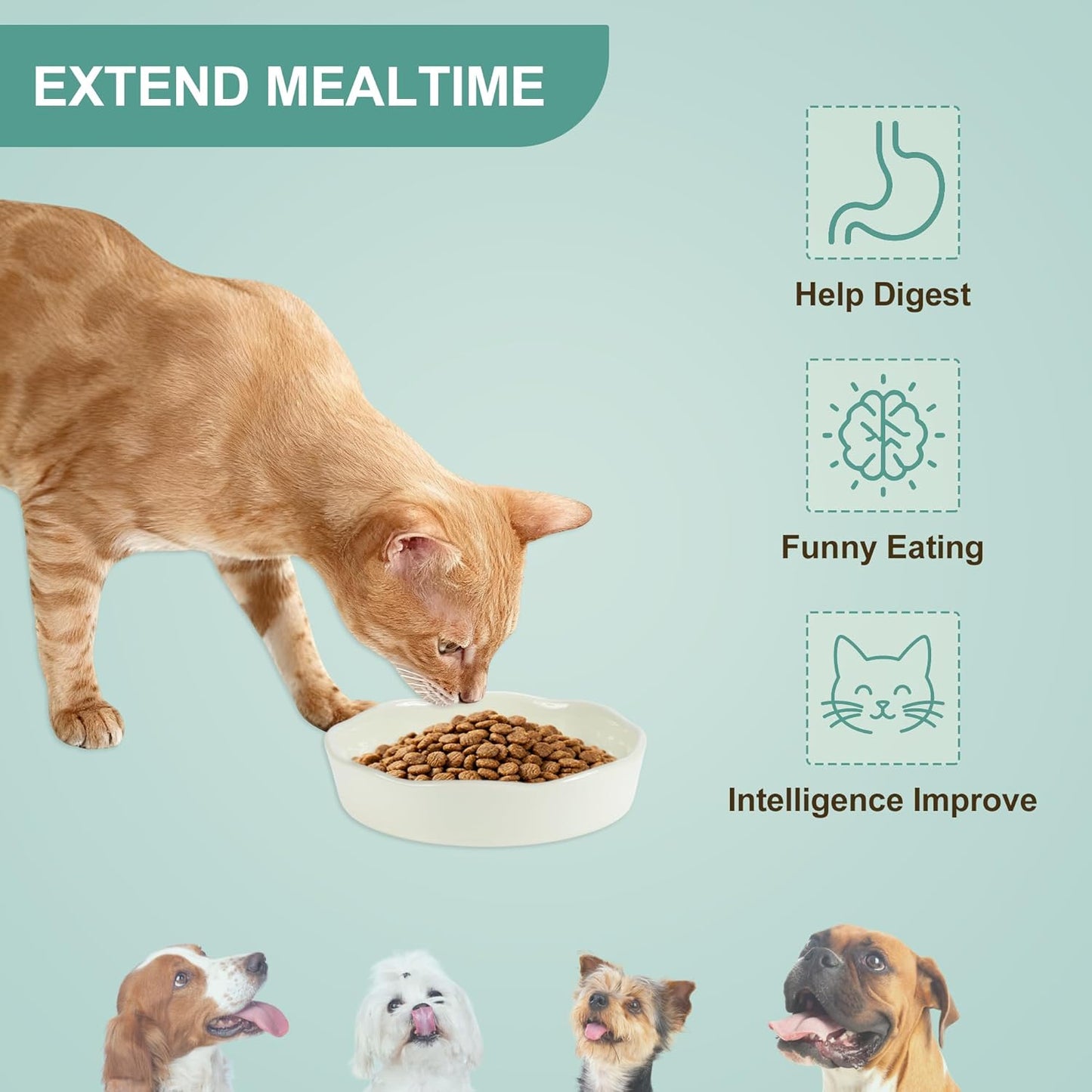 Slow Feeder Dog Bowls, Ceramic Slower Food Feeding Bowl for Small and Medium Dogs, Prevents Fast Eating and Black Chin, Beige, 1 Pc