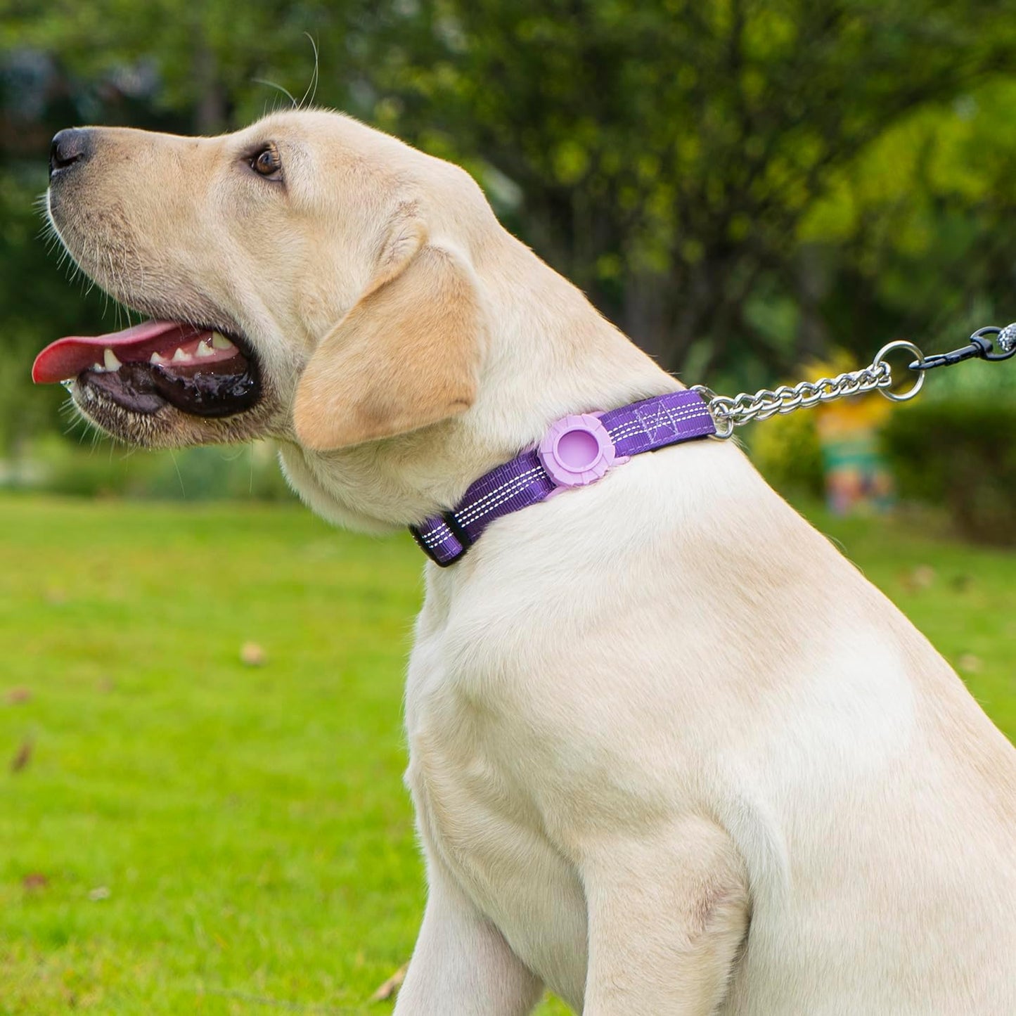 Cymiler Martingale Dog Collar with AirTag Holder, Reflective Nylon Training Collar, Stainless Steel Chain, Heavy Duty Buckle, Limited Slip Collars for Small Medium Large Dogs (Purple, Large)