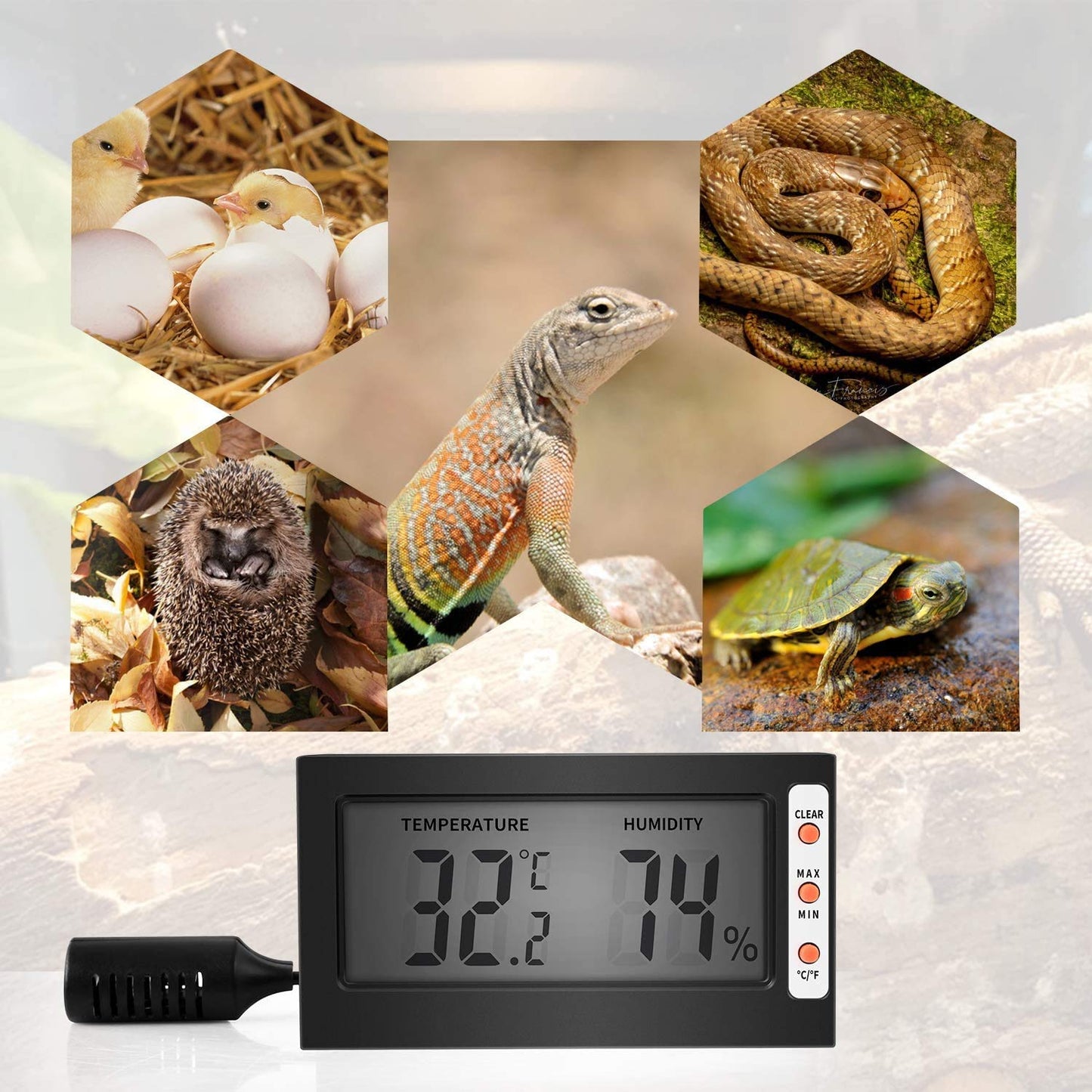 Simple Deluxe Digital Thermometer and Humidity Gauge with Remote Probes for Brooder Reptiles Terrarium, 2 Pack, Black