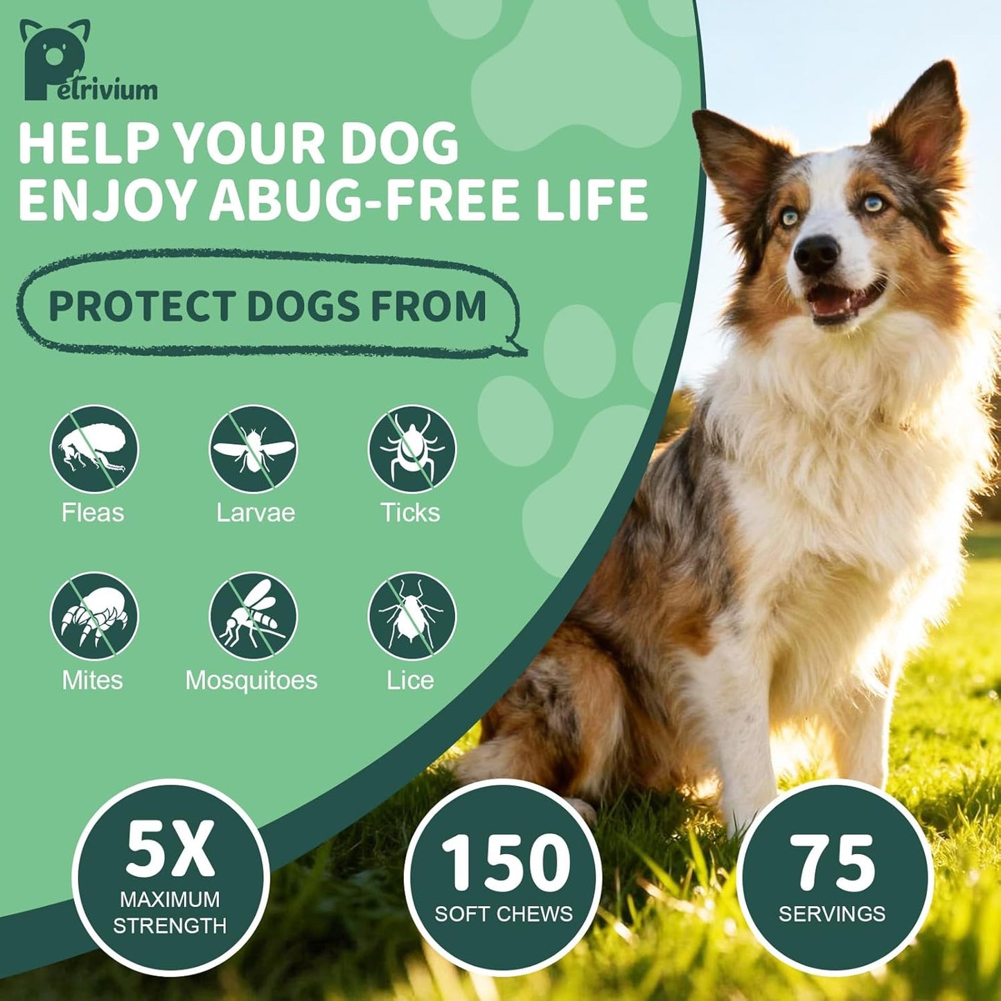 Dogs Flea and Tick Prevention Treatment Chewable, Natural Soft Chew for Fleas Ticks Treatment Support Supplement - Oral Flea Pills- Flea and Tick Chews - All Breeds & Sizes - 150 Soft Treats (Chicken)