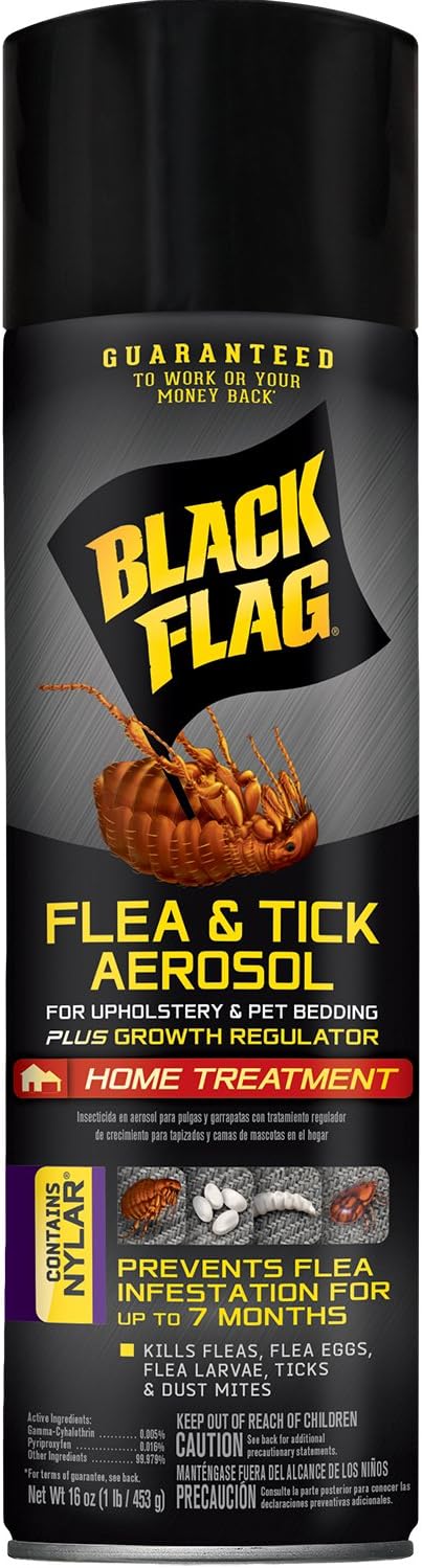 Black Flag Flea & Tick Killer for Upholstery & Pet Bedding Aerosol, 16-Ounce, 12-Pack