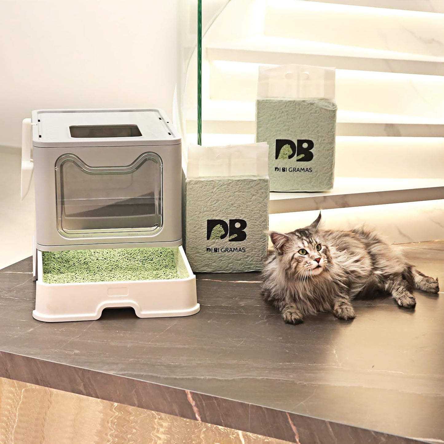 Cat Litter 12LB/2 Packs Dust-Free Clumping Tofu Cat Litter Quickly Absorb Odors Toilet Can Flush Into The Toilet Pure Natural tofu cat Litter (Green Tea)