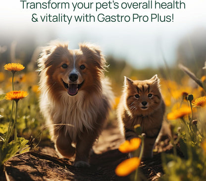 pawTree Bundle for Dogs & Cats – Freeze-Dried Raw Food (1.5 lbs, Chicken) & Gastro Pro Plus (30 ct)– Complete Nutrition & Digestive Support