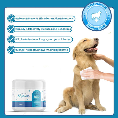 Replenish Antiseptic Wipes for Dogs and Cats - Dog Medicated Wipes with Chlorhexidine and Ketoconazole - Pet Grooming Wipes - Dog Allergy Wipes for Itch Relief, Hot Spots & Skin Irritation - 50 Count