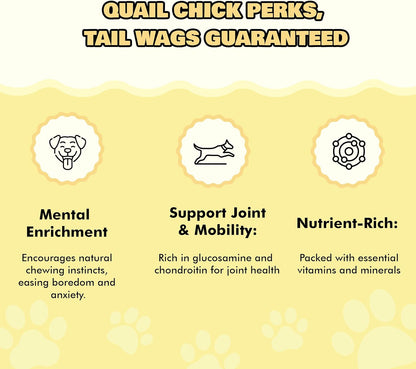 Benji & Louie Freeze Dried Quail Chicks – Whole Prey Treats with Bone, Feather, Feet, Peak – Single Ingredient Snack for Dogs & Cats – (0.88 oz) - 12 Chicks