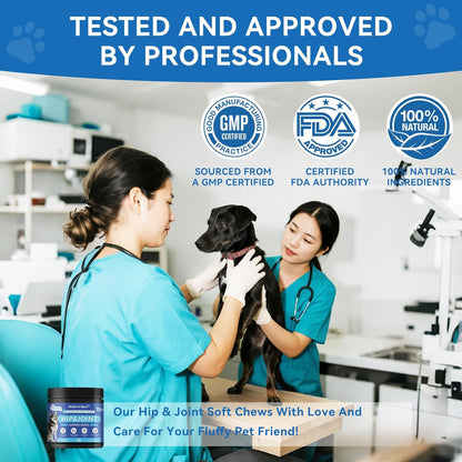 Biotic's Gain - Dog Multivitamins, 25 in 1 Complete Care, 120 Soft Chews, Chicken Flavour (120, Hip & Joint Care)