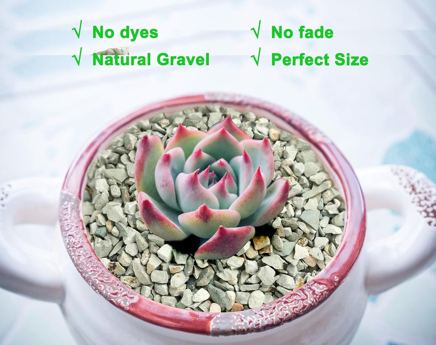 5lb Succulents and Cactus Green Zeolite, Décor & Additive Rocks, Natural Decorative Gravel for Bonsai, Fairy Gardening, DIY Projects, Vases Fillers, Terrarium