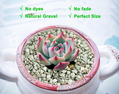 5lb Succulents and Cactus Green Zeolite, Décor & Additive Rocks, Natural Decorative Gravel for Bonsai, Fairy Gardening, DIY Projects, Vases Fillers, Terrarium