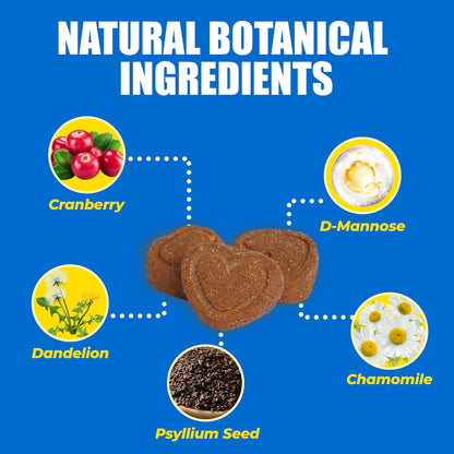 Just Try 300 Bites 6.35 oz Urinary Tract Bites for Cats - Cranberry & D Mannose Formula for Bladder Health - Prevent UTI & Promote Urinary Comfort - Grain Free, Natural Ingredients Cat Supplements