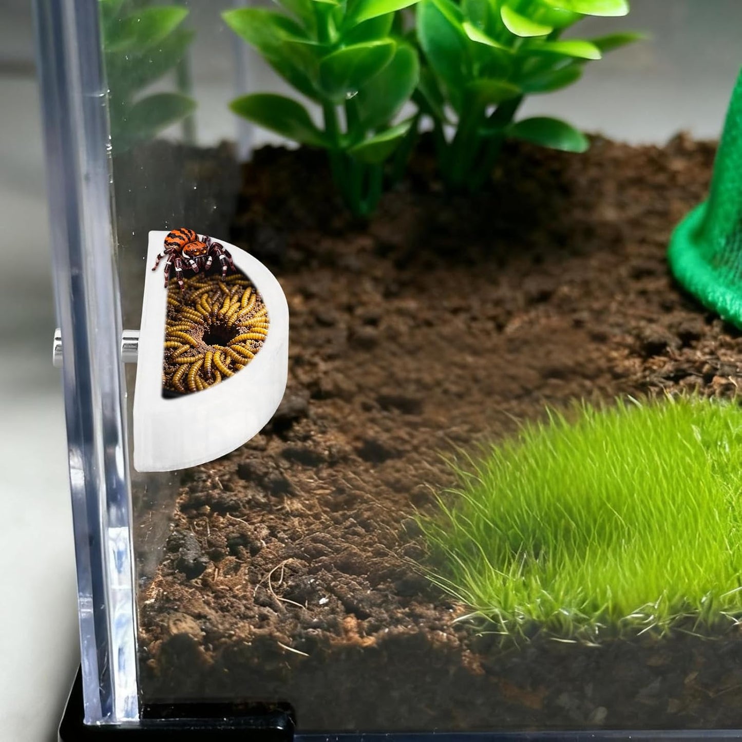 3pcs Jumping Spider Water Bowl with Magnetic, Leak-Proof Jumping Spider Food Feeding Dispenser Dish Enclosure Decor Accessories for Tarantula Mantis Small Reptiles and Pets (Half Round)