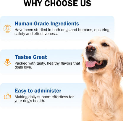 Zinc for Dogs, Heart Support Supplement for Dogs, Promote Heart Function, Healthy Skin and Coat, Strengthen Immune Function, Cellular Growth with Biotin, Selenium and Vitamins
