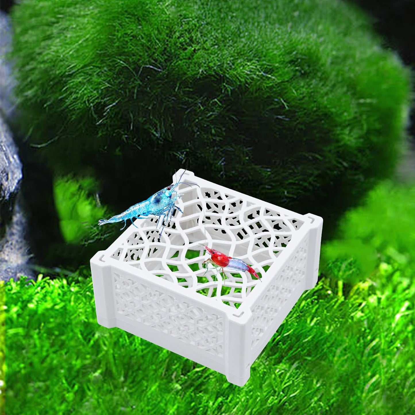 3 Pack Aquarium Fish Tank Accessories, Hollowed-Out Decoration for Shrimp Hideout, Moss, Sea Grass and Other Aquatic Plant or Small Aquatic Animal, Shrimp Hides for Aquarium