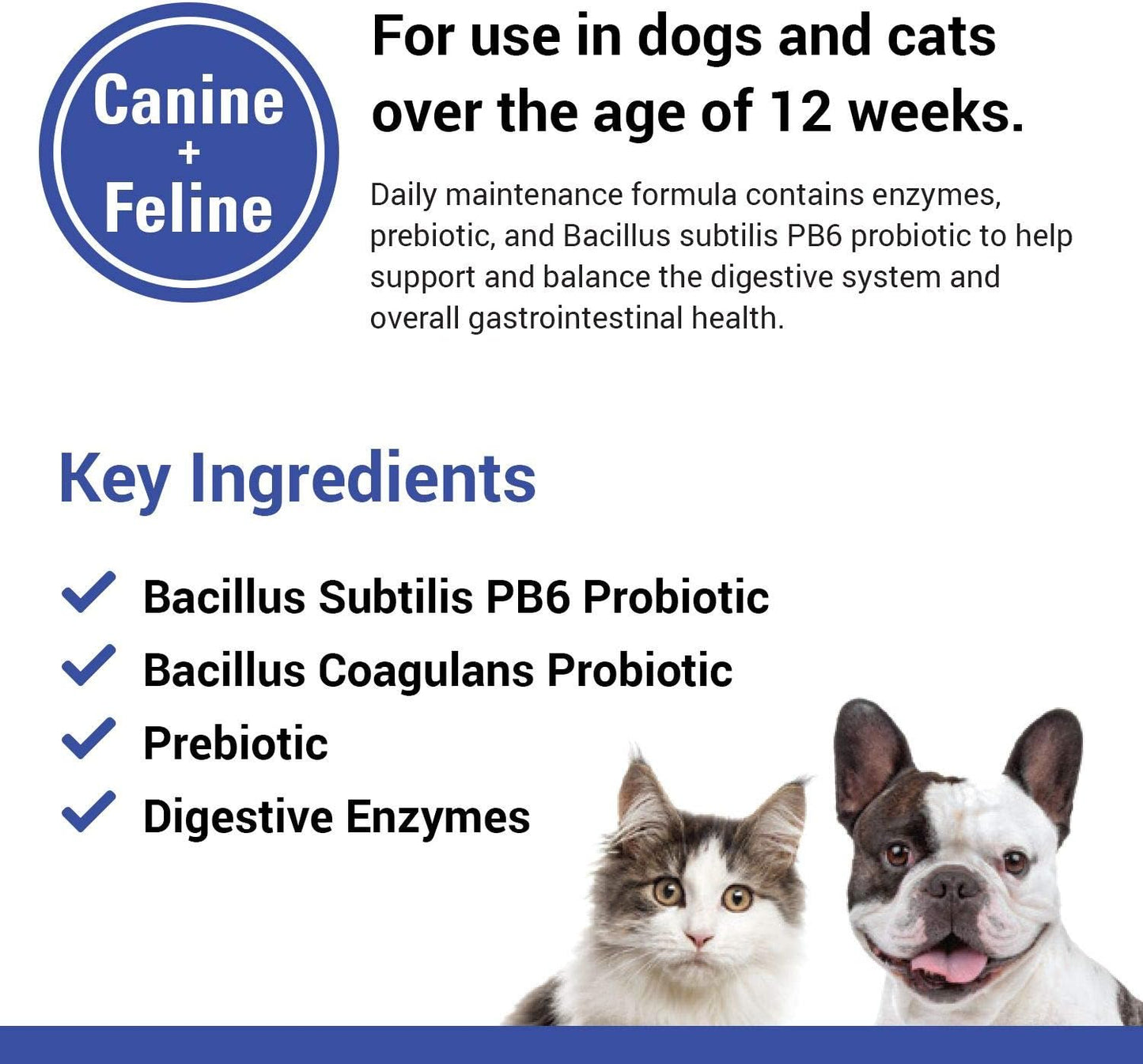 Vet Classics Protegrity EZ Probiotic Health Supplements for Dogs, Cats – Dog Digestive Support, Pet Gastrointestinal Health, Cat Stomach, Intestinal Balance – Pet Enzymes – 120 Soft Chews