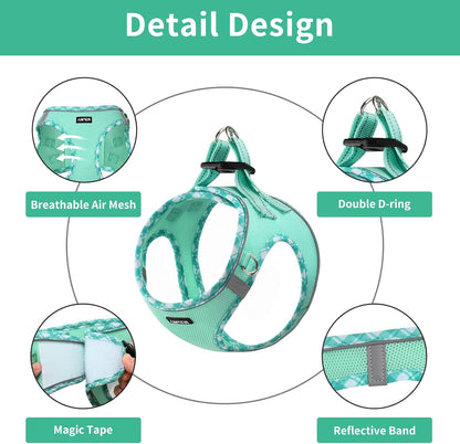 AMTOR Small Dog Harness with Leash Set, No Escape Easy Walk Puppy Harnesses for Training Walking, Step-in Reflective Soft Dogs Vest for XS S Medium Extra-Small Large Sized Dog(Green,S)