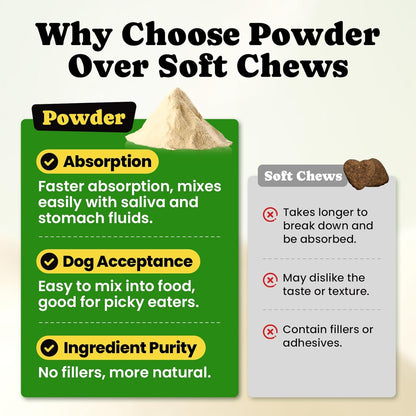 Probiotics for Dogs - Dog Probiotics Powder with 11 Strains, 4 Prebiotics & 5 Enzymes, Pet Probiotic Help Flora Balance, Digestion Health & Gut Support, Diarrhea and Yeast Infection -60 Single Packets