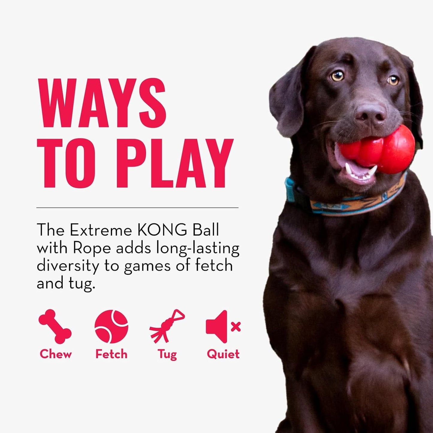 KONG Extreme Ball with Rope - Dog Fetch Toy with Rope for Easy Throwing - Durable Dog Ball Toy for Tug, Playtime & More s Most Durable Natural Rubber - Black - for Large Dogs
