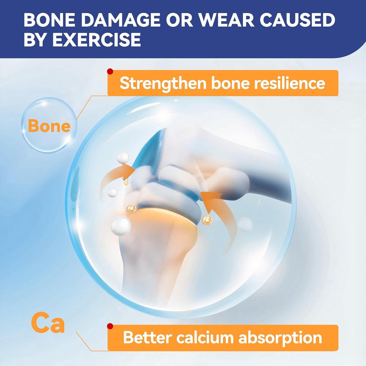 30-Day Supply Equine Body Repair Protein Supplement-Amino Acids Speed up Muscle Recovery After Exercise Promote Muscle Growth and Healthier Joints