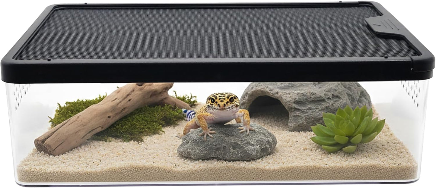 PC Small Reptile Terrarium, Tarantulas Enclosure, 12.6"x8.7"x3.9" for Geckos, Insect, Hermit Crab, Praying Mantis, Mini Terrarium Box