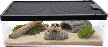 PC Small Reptile Terrarium, Tarantulas Enclosure, 12.6"x8.7"x3.9" for Geckos, Insect, Hermit Crab, Praying Mantis, Mini Terrarium Box