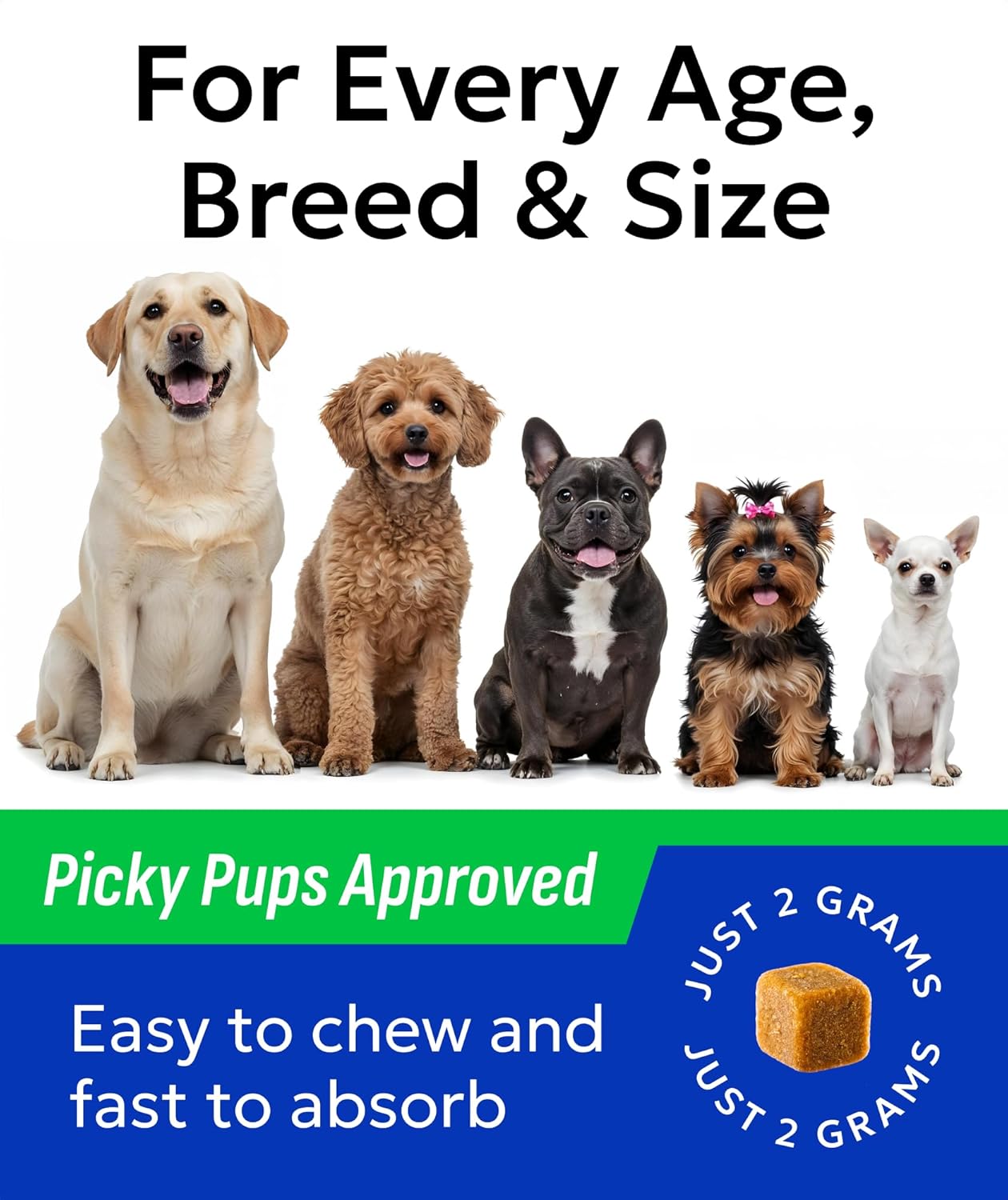 BARK&SPARK Probiotics for Dogs Digestive Health w/Enzymes - Diarrhea Gas Treatment Upset Stomach Relief - Allergy & Itchy Skin - Pet Dogs Probiotics - Digestion Supplement Treat (120Ct Chicken)