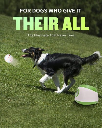 Automatic Ball Thrower for Dogs, Ball Launcher for Dogs - 2.5" Dog Balls * 6Pack (Green)