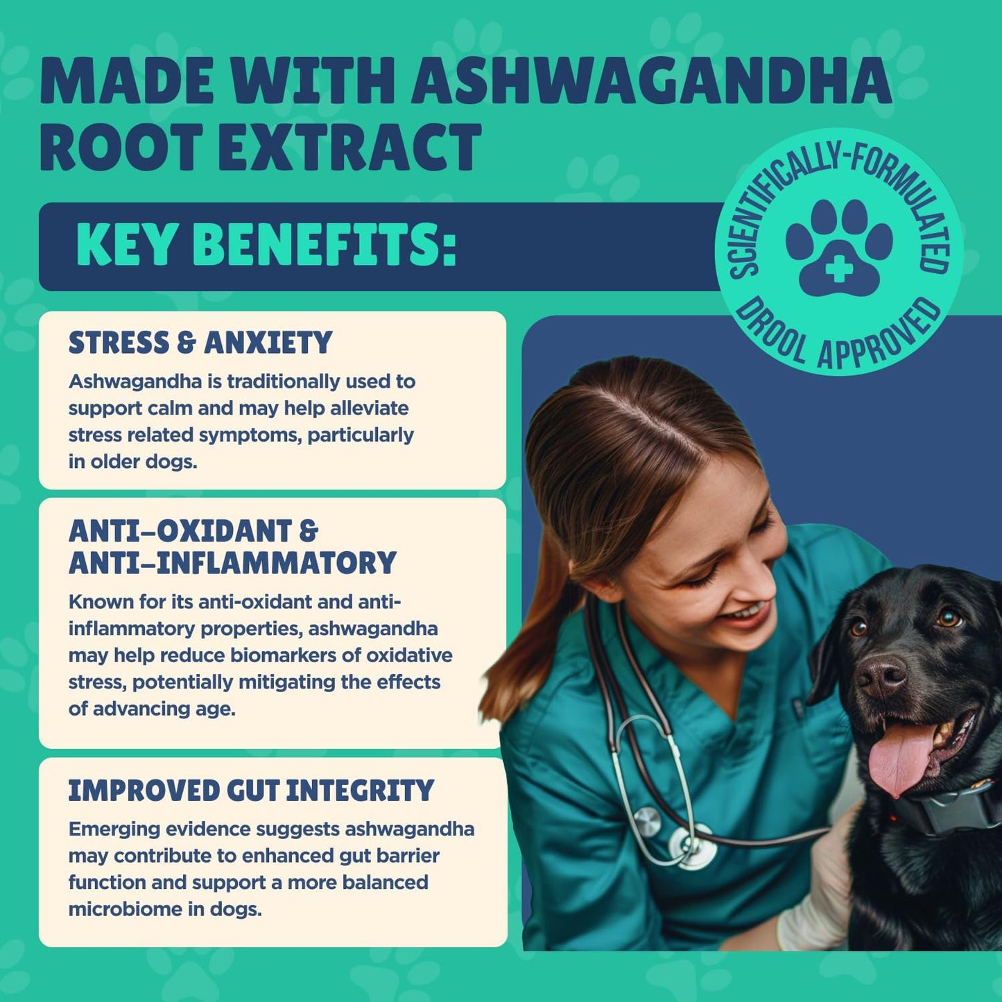 Senior Dog Supplement - Glucosamine, MSM, Turmeric, Salmon Oil, Probiotics & Ashwagandha - Supports Cognitive, Hip & Joint, Digestive, Immune & Heart Health - Dog Dementia Supplement.
