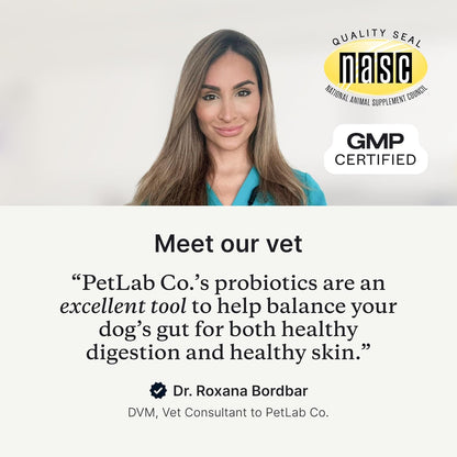 PetLab Co. Probiotics for Dogs, Support Gut Health, Occasional Diarrhea, Digestive Health & Seasonal Allergies - Salmon Flavor - Packaging May Vary - 30 Soft Chews Pack of 2