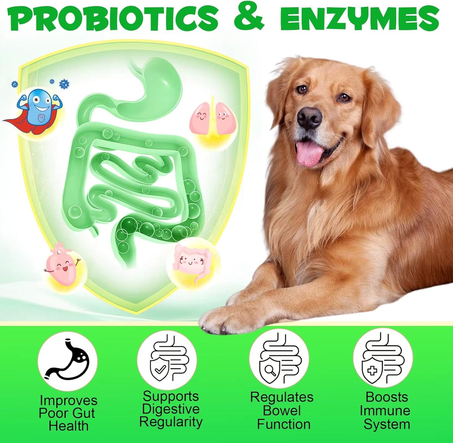 Probiotics Supplement for Dogs - Digestive Enzymes with Prebiotics for Gut Health - Anti Diarrhea, Bowel Support, and Immunity - Health & Itch Relief Digestive Enzymes