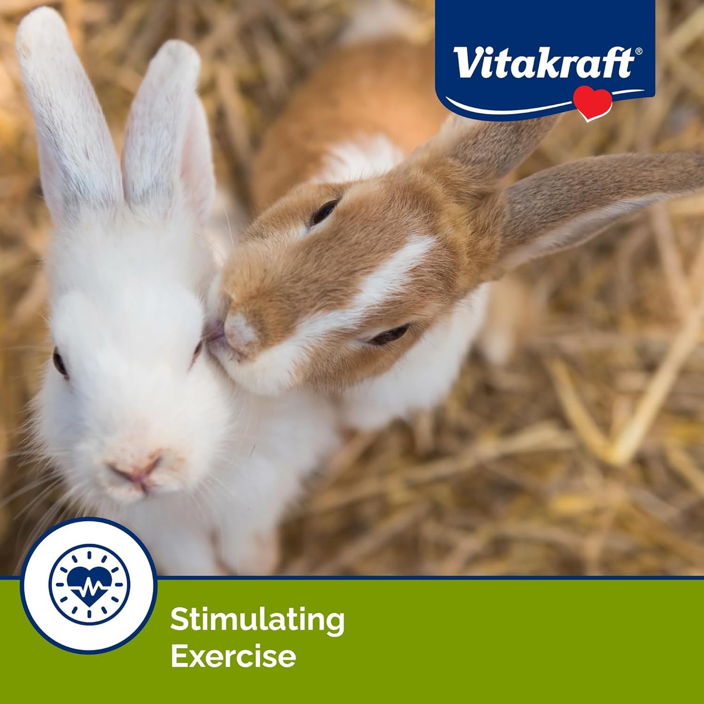 Vitakraft Crunch Sticks Rabbit Treat - Carrot and Honey - Rabbit Chew Sticks (Wild Berry & Honey)