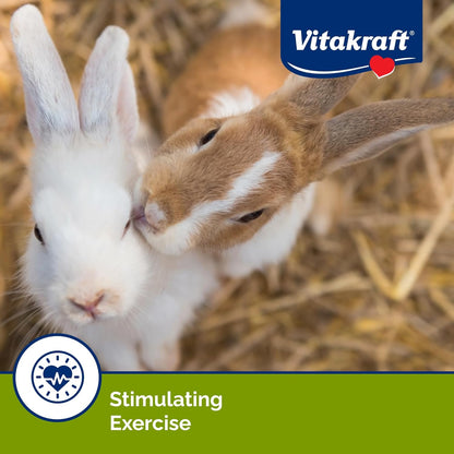 Vitakraft Crunch Sticks Rabbit Treat - Carrot and Honey - Rabbit Chew Sticks (Wild Berry & Honey)