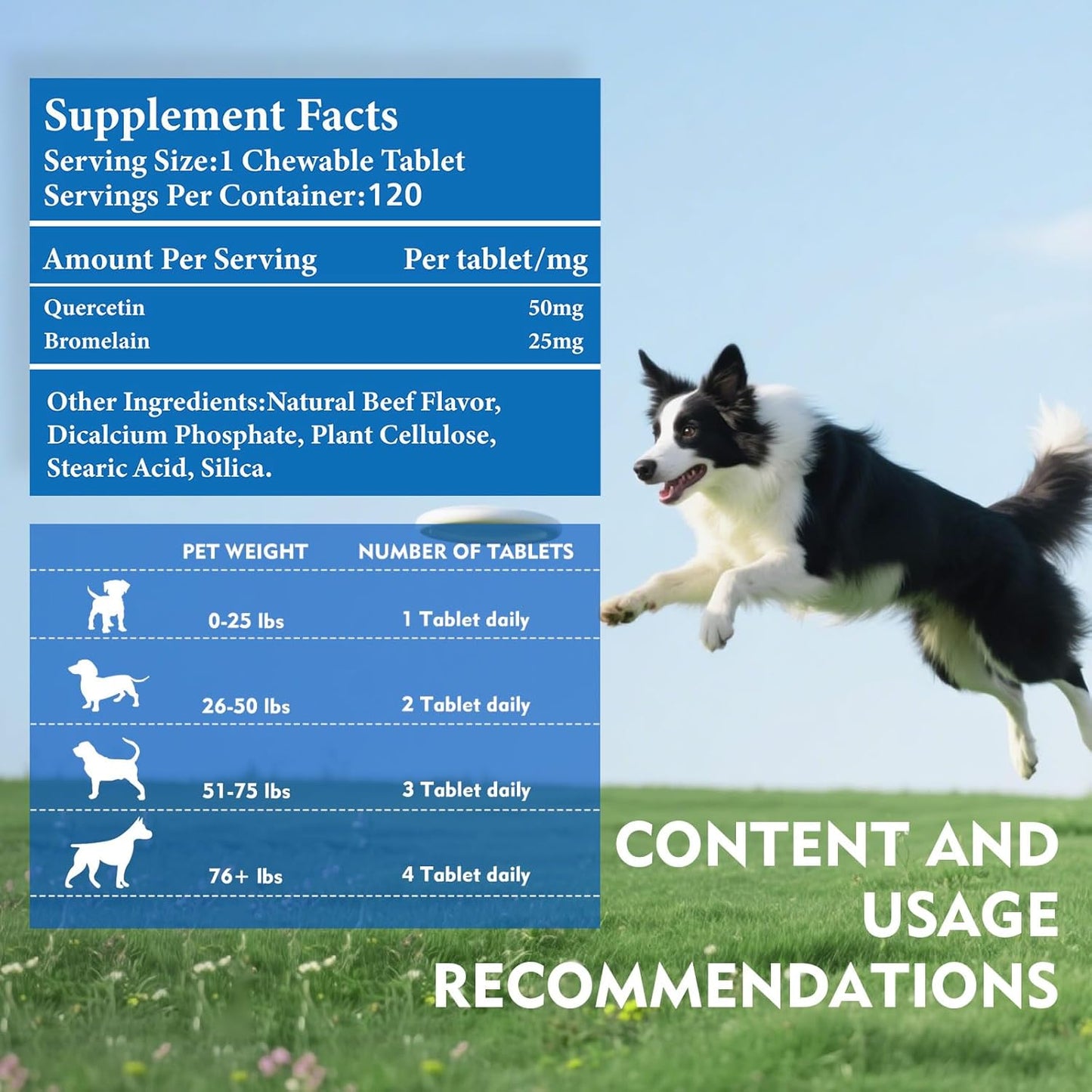 Quercetin + Bromelain for Dogs – Immune & Allergy Support Supplement, Inflammatory Relief, Antioxidant Formula, 120 Beef-Flavored Chewable Tablets