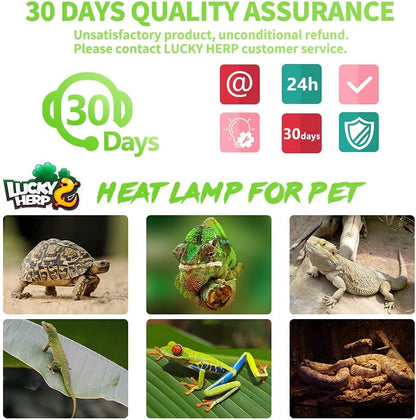 LUCKY HERP Reptile Heat Lamp - 100W (2nd Gen) Heat Lamp Bulbs for Reptiles 2 Pack, Amphibians Basking Heat Lamp Bulbs, UVA Daylight Basking Light for Reptiles, Bearded Dragon, Lizard, Turtle, Chicken