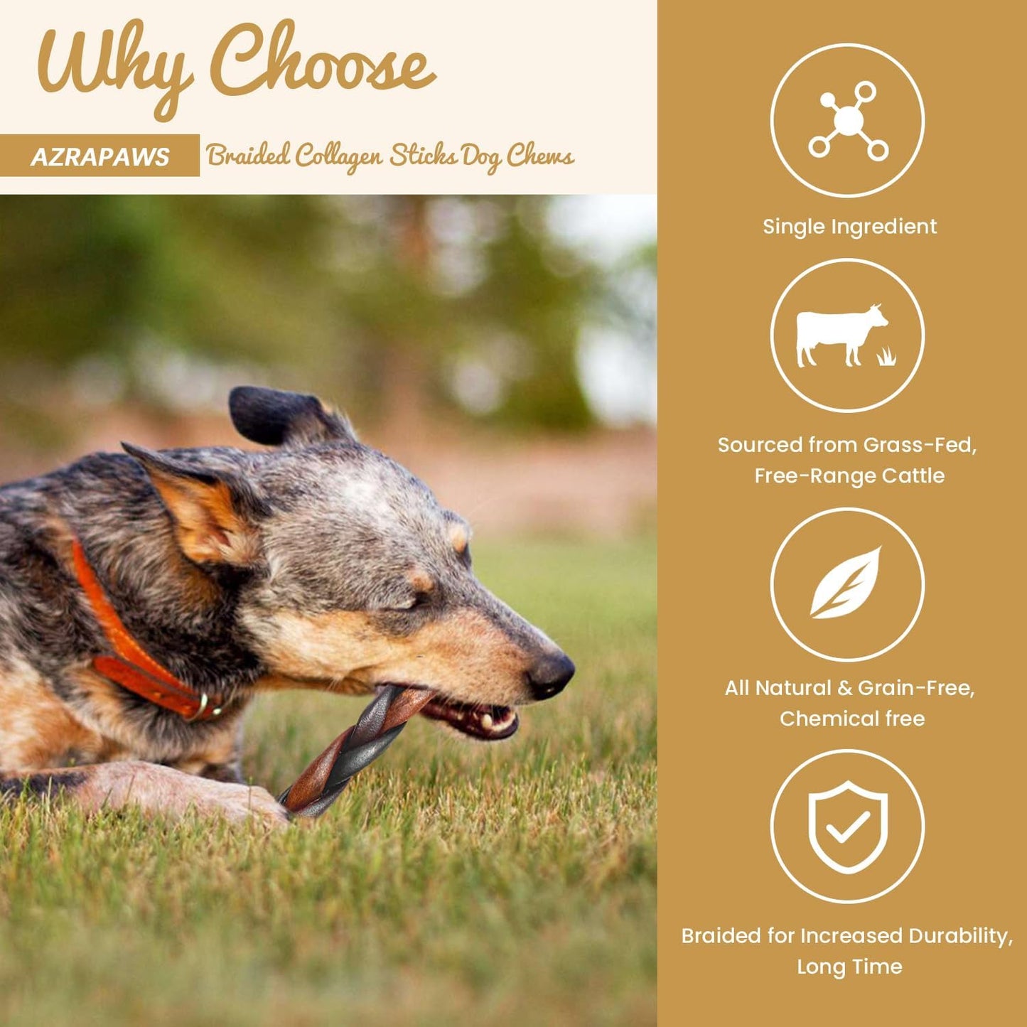 Braided Collagen Sticks for Medium & Large Dogs, 5-6 Inch Beef Collagen Dog Chews Long Lasting, Dog Treats for Aggressive Chewers & Bully Stick Alternative