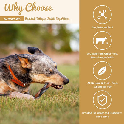 Braided Collagen Sticks for Medium & Large Dogs, 5-6 Inch Beef Collagen Dog Chews Long Lasting, Dog Treats for Aggressive Chewers & Bully Stick Alternative