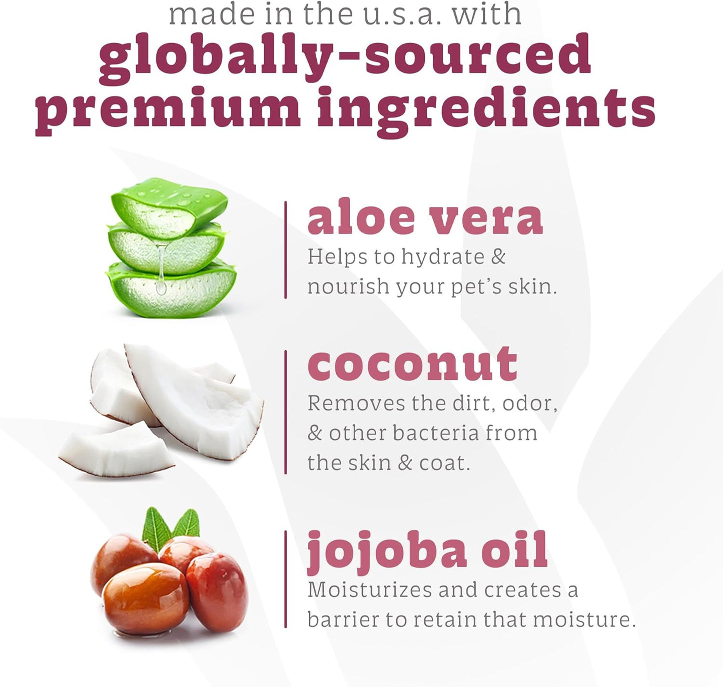 Espree Gentle Fresh Kitten Shampoo & Conditioner, Tearless Formula with Aloe Vera, Sulfate-Free, Paraben-Free, Harsh Chemical and Dye-Free, Safe for Sensitive Skin, 12oz