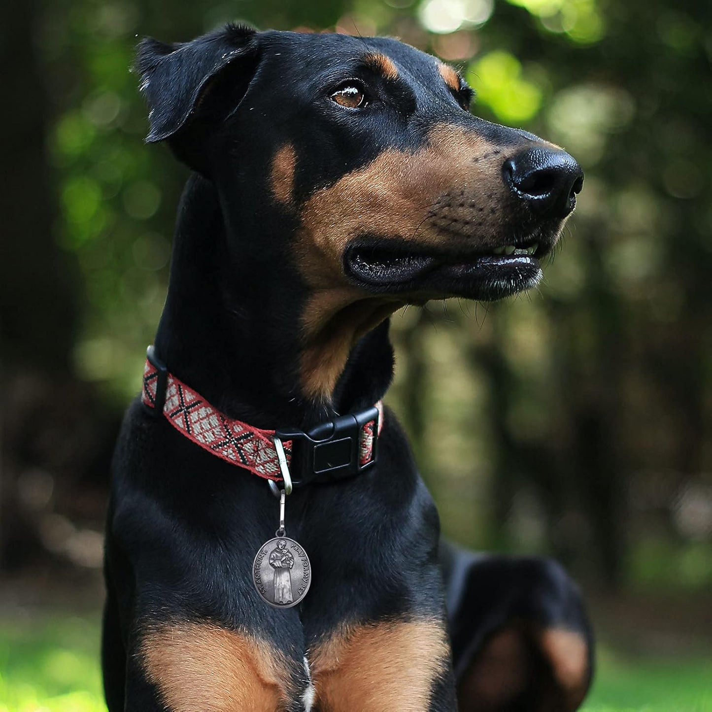 Pet Tags Engraved 2 Packs St Francis of Assisi Cats dogs Medal Pendant Collar Charm Protect My Pet