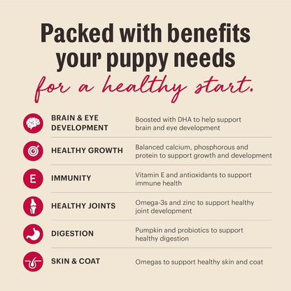 The Honest Kitchen Human Grade Wholemade™ Whole Grain Beef & Salmon Dehydrated Puppy Dog Food, 2lb Bag (Makes 8lbs)