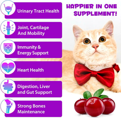 Cat Multivitamin,15 in 1 Cat Vitamins Liquid Drops Supplements for Heart Health, Bones, Joint, Skin & Coat, Bladder, Immune System Support 60ml